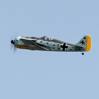 Dynam Focke Wulf FW-190 1270mm Wingspan 